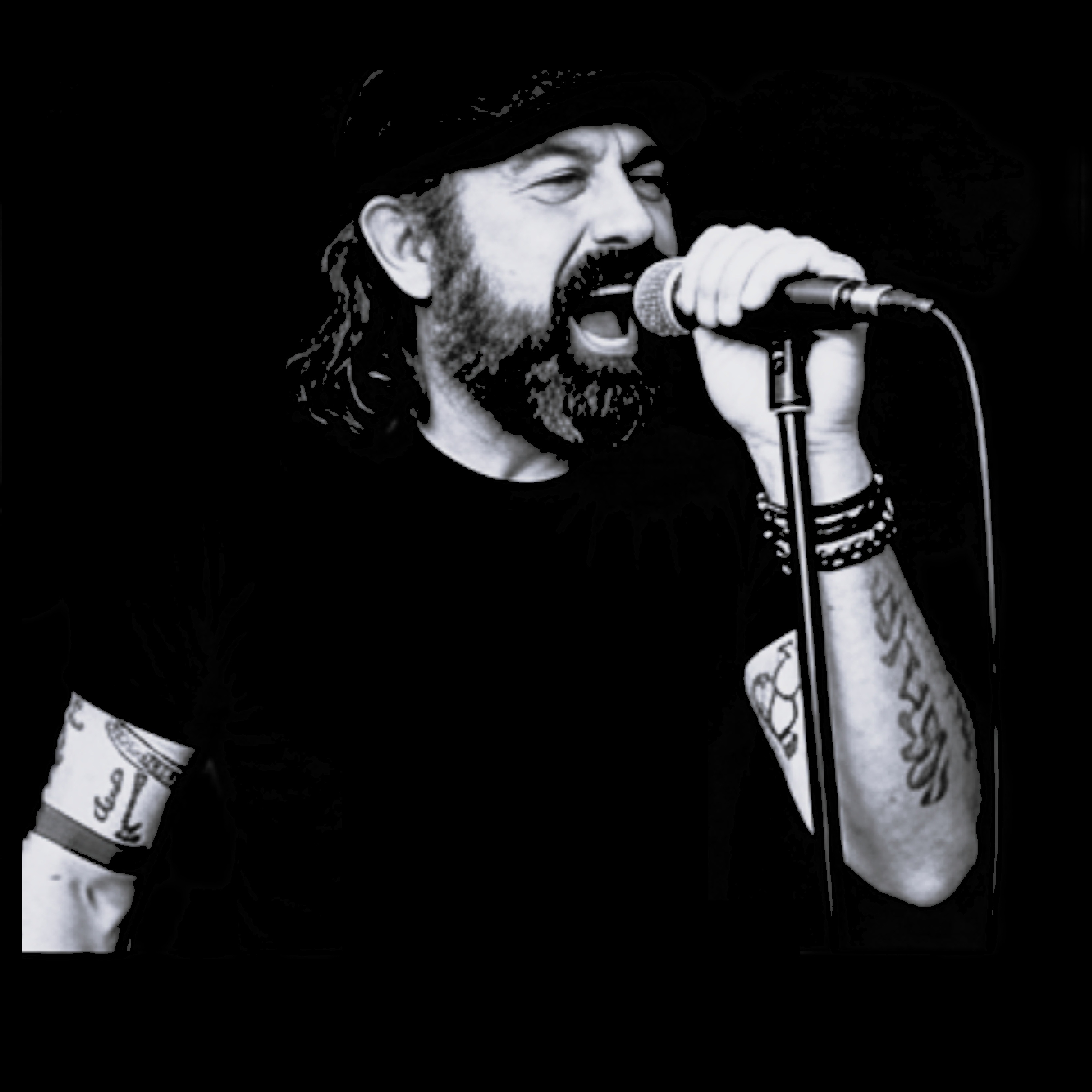 Keith Darley — Bass guitar, live